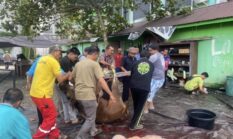Sembelih 10 Hewan Kurban, Uniska Bagikan Ribuan Potong Daging Sapi