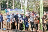 Bupati Heriyus, Ketua TP PKK Mura, kepala OPD dan Forkopimda melaksanakan panen bersama ikan nila di Pokdakan Pakat Sasama (foto: Maya)
