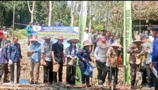 Bupati Heriyus, Ketua TP PKK Mura, kepala OPD dan Forkopimda melaksanakan panen bersama ikan nila di Pokdakan Pakat Sasama (foto: Maya)