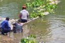 TANGANI DAMPAK – Petugas gabungan dari Pemerintah Kabupaten Banjar bersama relawan melakukan pembersihan bangkai ikan yang memenuhi aliran Sungai Arfat, Desa Pingaran Ulu, Kecamatan Astambul, menyusul kematian ikan massal yang mencemari sungai dan mengganggu aktivitas warga. (foto: Pemkab Banjar)
