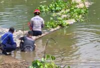 TANGANI DAMPAK – Petugas gabungan dari Pemerintah Kabupaten Banjar bersama relawan melakukan pembersihan bangkai ikan yang memenuhi aliran Sungai Arfat, Desa Pingaran Ulu, Kecamatan Astambul, menyusul kematian ikan massal yang mencemari sungai dan mengganggu aktivitas warga. (foto: Pemkab Banjar)
