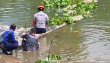 TANGANI DAMPAK – Petugas gabungan dari Pemerintah Kabupaten Banjar bersama relawan melakukan pembersihan bangkai ikan yang memenuhi aliran Sungai Arfat, Desa Pingaran Ulu, Kecamatan Astambul, menyusul kematian ikan massal yang mencemari sungai dan mengganggu aktivitas warga. (foto: Pemkab Banjar)