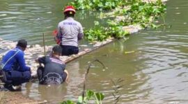 TANGANI DAMPAK – Petugas gabungan dari Pemerintah Kabupaten Banjar bersama relawan melakukan pembersihan bangkai ikan yang memenuhi aliran Sungai Arfat, Desa Pingaran Ulu, Kecamatan Astambul, menyusul kematian ikan massal yang mencemari sungai dan mengganggu aktivitas warga. (foto: Pemkab Banjar)

