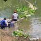 TANGANI DAMPAK – Petugas gabungan dari Pemerintah Kabupaten Banjar bersama relawan melakukan pembersihan bangkai ikan yang memenuhi aliran Sungai Arfat, Desa Pingaran Ulu, Kecamatan Astambul, menyusul kematian ikan massal yang mencemari sungai dan mengganggu aktivitas warga. (foto: Pemkab Banjar)
