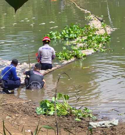 TANGANI DAMPAK – Petugas gabungan dari Pemerintah Kabupaten Banjar bersama relawan melakukan pembersihan bangkai ikan yang memenuhi aliran Sungai Arfat, Desa Pingaran Ulu, Kecamatan Astambul, menyusul kematian ikan massal yang mencemari sungai dan mengganggu aktivitas warga. (foto: Pemkab Banjar)
