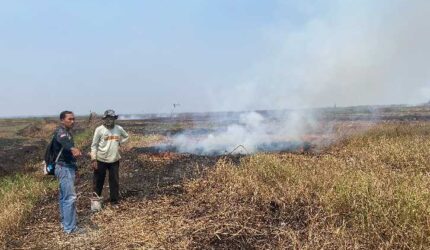 Diduga Bakar Lahan 17 Borongan, Polres HSS Amankan Petani