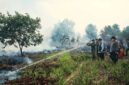 KARHUTLA KALSEL – Prajurit Korem 101/Antasari bersama tim gabungan melakukan pemadaman kebakaran hutan dan lahan (karhutla) di sejumlah wilayah Kalimantan Selatan, Jumat (21/8/2026). Penanganan dilakukan di 17 titik dengan total luas lahan terbakar diperkirakan lebih dari 100 hektare. (foto:Penrem 101/Ant)
