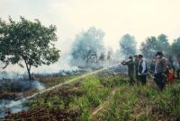 Korem 101 Antasari Gempur 17 Titik Karhutla di Kalsel, Lebih dari 100 Hektare Terbakar