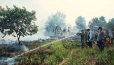 KARHUTLA KALSEL – Prajurit Korem 101/Antasari bersama tim gabungan melakukan pemadaman kebakaran hutan dan lahan (karhutla) di sejumlah wilayah Kalimantan Selatan, Jumat (21/8/2026). Penanganan dilakukan di 17 titik dengan total luas lahan terbakar diperkirakan lebih dari 100 hektare. (foto:Penrem 101/Ant)
