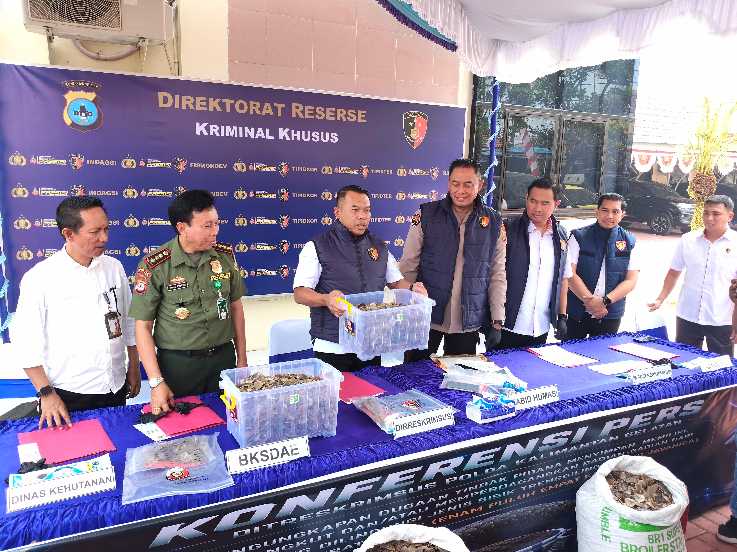 
UNGKAP PERDAGANGAN SISIK TRENGGILING – Dirreskrimsus Polda Kalsel Kombes Pol Sigit Haryono didampingi Kabid Humas Polda Kalsel Kombes Pol Nur Khamid ,Kepala BKSDA Kalsel Agus Krisna, Perwakilan Dinas Kehutanan Kalsel , Wadirreskrimsus, dan Kasubdit IV Tipidter  saat memperlihatkan barang bukti sisik trenggiling hasil pengungkapan perdagangan satwa dilindungi di Banjarmasin. (Foto. Mercy )