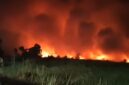 KARHUTLA MELUAS – Kebakaran lahan mulai terjadi di sejumlah wilayah Kalimantan Selatan, di antaranya Barito Kuala, Kabupaten Banjar, Banjarbaru hingga Tanah Laut seiring cuaca panas ekstrem yang melanda daerah tersebut. (foto: istimewa)