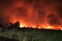KARHUTLA MELUAS – Kebakaran lahan mulai terjadi di sejumlah wilayah Kalimantan Selatan, di antaranya Barito Kuala, Kabupaten Banjar, Banjarbaru hingga Tanah Laut seiring cuaca panas ekstrem yang melanda daerah tersebut. (foto: istimewa)