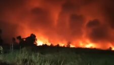KARHUTLA MELUAS – Kebakaran lahan mulai terjadi di sejumlah wilayah Kalimantan Selatan, di antaranya Barito Kuala, Kabupaten Banjar, Banjarbaru hingga Tanah Laut seiring cuaca panas ekstrem yang melanda daerah tersebut. (foto: istimewa)