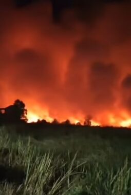 Kemarau Memuncak, Karhutla Mulai Menyala di Berbagai Wilayah Kalsel