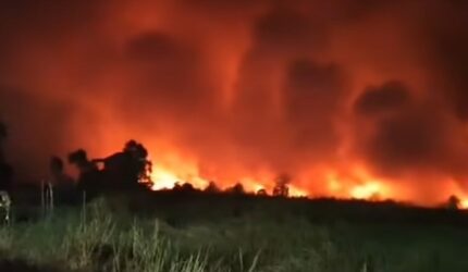 Kemarau Memuncak, Karhutla Mulai Menyala di Berbagai Wilayah Kalsel