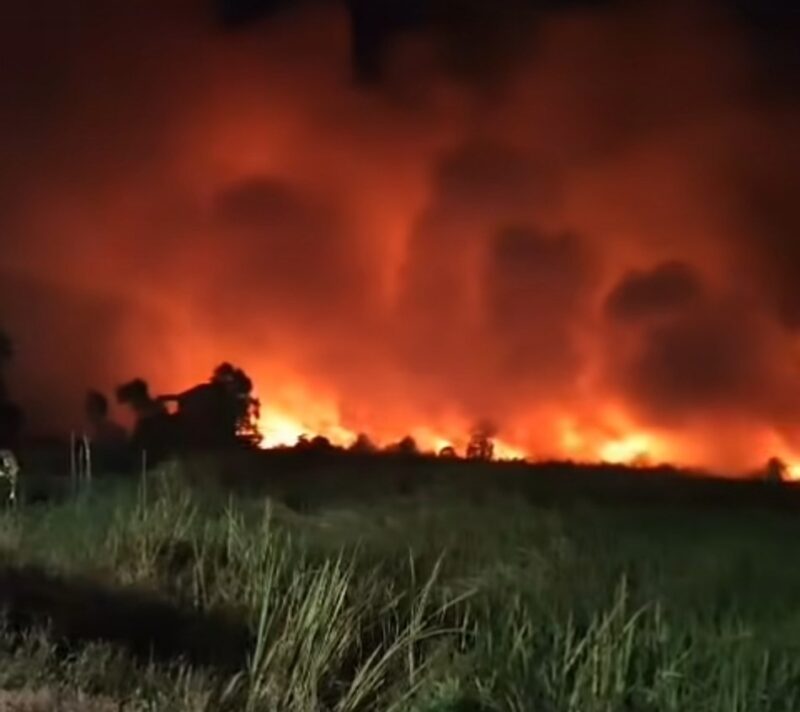 KARHUTLA MELUAS – Kebakaran lahan mulai terjadi di sejumlah wilayah Kalimantan Selatan, di antaranya Barito Kuala, Kabupaten Banjar, Banjarbaru hingga Tanah Laut seiring cuaca panas ekstrem yang melanda daerah tersebut. (foto: istimewa)
