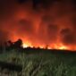 KARHUTLA MELUAS – Kebakaran lahan mulai terjadi di sejumlah wilayah Kalimantan Selatan, di antaranya Barito Kuala, Kabupaten Banjar, Banjarbaru hingga Tanah Laut seiring cuaca panas ekstrem yang melanda daerah tersebut. (foto: istimewa)