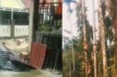 TEROR MONYET – Monyet ekor panjang yang meresahkan warga Tembilahan, Kabupaten Indragiri Hilir, Riau, akhirnya berhasil ditangkap petugas gabungan setelah menyerang sedikitnya 18 warga. Satwa liar tersebut kini menjalani observasi di BBKSDA Riau. (foto: istimewa)