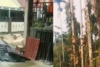 TEROR MONYET – Monyet ekor panjang yang meresahkan warga Tembilahan, Kabupaten Indragiri Hilir, Riau, akhirnya berhasil ditangkap petugas gabungan setelah menyerang sedikitnya 18 warga. Satwa liar tersebut kini menjalani observasi di BBKSDA Riau. (foto: istimewa)