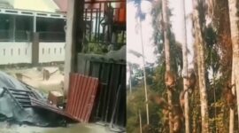 TEROR MONYET – Monyet ekor panjang yang meresahkan warga Tembilahan, Kabupaten Indragiri Hilir, Riau, akhirnya berhasil ditangkap petugas gabungan setelah menyerang sedikitnya 18 warga. Satwa liar tersebut kini menjalani observasi di BBKSDA Riau. (foto: istimewa)