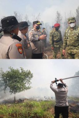 Astamaops Polri dan KSAL Tinjau Karhutla Kalsel, Kapolda Turun Langsung Padamkan Api