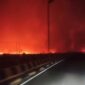 Tangkapan layar video warga yang melintas di kawasan Tumbang Nusa, Pulang Pisau, Minggu (30/8/2026) malam. Langit tampak memerah akibat kobaran api karhutla. (foto: tangkapan layar video warga)

