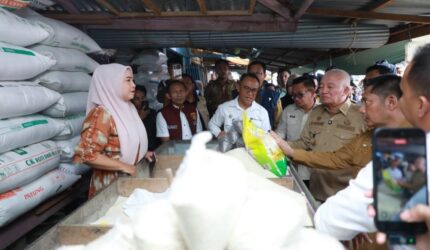 Cek Langsung Harga Bahan Pokok Pangan, Gubernur Muhidin Tinjau Pasar Keramat Barabai HST