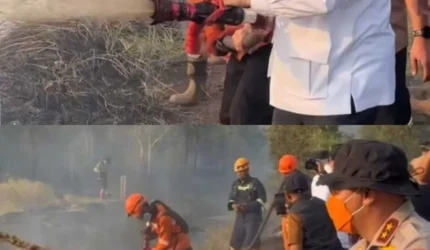 Gubernur Muhidin Bersama Forkopimda Turun Langsung Pedamkan Karhutla di Pengayuan
