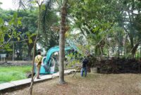 Kolam Kamboja Dikeruk Sekaligus Kembalikan Fungsi Ruang Retensi Air