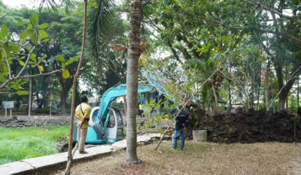 Kolam Kamboja Dikeruk Sekaligus Kembalikan Fungsi Ruang Retensi Air