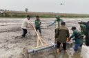 Implementasi Proyek Perubahan, DKP3 Banjarmasin Tanam Benih Padi Inpari 32