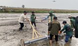 Implementasi Proyek Perubahan, DKP3 Banjarmasin Tanam Benih Padi Inpari 32