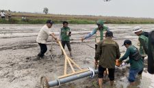 Implementasi Proyek Perubahan, DKP3 Banjarmasin Tanam Benih Padi Inpari 32