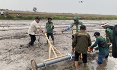 Implementasi Proyek Perubahan, DKP3 Banjarmasin Tanam Benih Padi Inpari 32