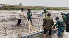 Implementasi Proyek Perubahan, DKP3 Banjarmasin Tanam Benih Padi Inpari 32