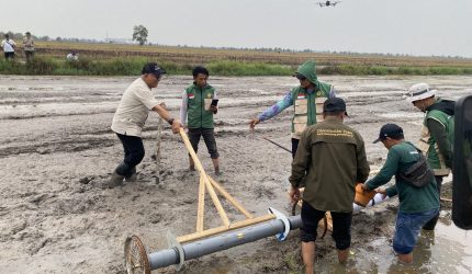 Implementasi Proyek Perubahan, DKP3 Banjarmasin Tanam Benih Padi Inpari 32