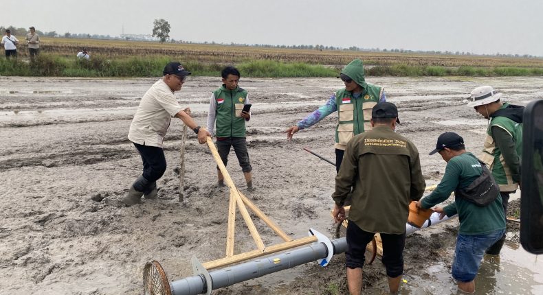 Implementasi Proyek Perubahan, DKP3 Banjarmasin Tanam Benih Padi Inpari 32