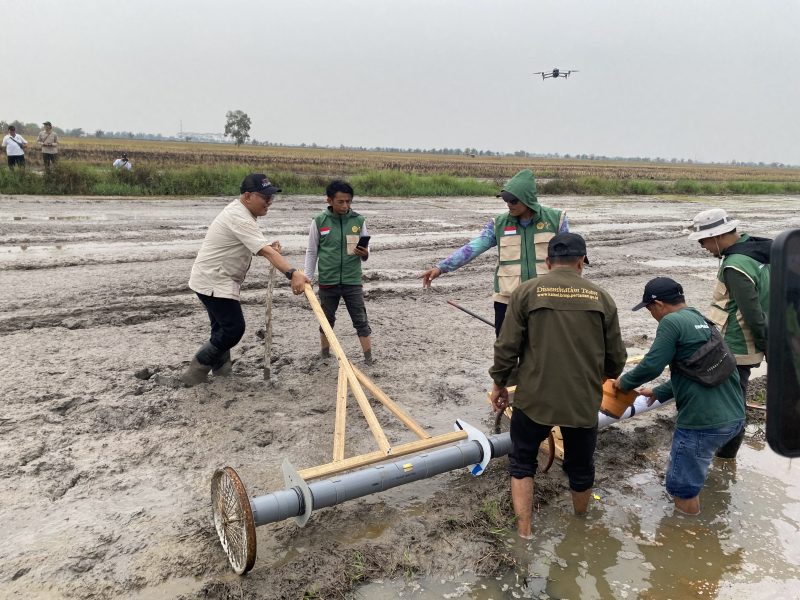 Implementasi Proyek Perubahan, DKP3 Banjarmasin Tanam Benih Padi Inpari 32