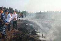 Gubernur Haji Muhidin Tinjau Penanganan Kebakaran Hutan dan Lahan