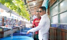 Komposter dan Budidaya Lele Jadi Inovasi Warga Sungai Andai