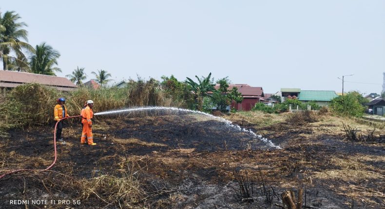 Karhutla Banjarmasin Capai 71 Kejadian, Penanganan Diperkuat dari Darat dan Udara