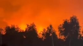 Langit Handil Bakti Memerah, 2 Karhutla Hanya Jarak 2 Jam, Rumah Warga Tersambar