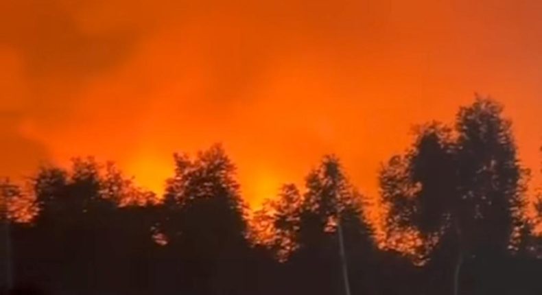 Langit Handil Bakti Memerah, 2 Karhutla Hanya Jarak 2 Jam, Rumah Warga Tersambar
