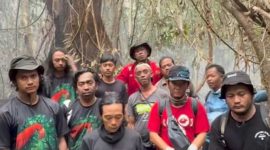Relawan Karhutla di Tanjung Puting Tarik Diri, Desak Pemerintah Kerahkan Water Bombing