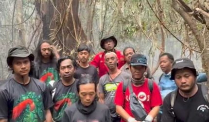Relawan Karhutla di Tanjung Puting Tarik Diri, Desak Pemerintah Kerahkan Water Bombing